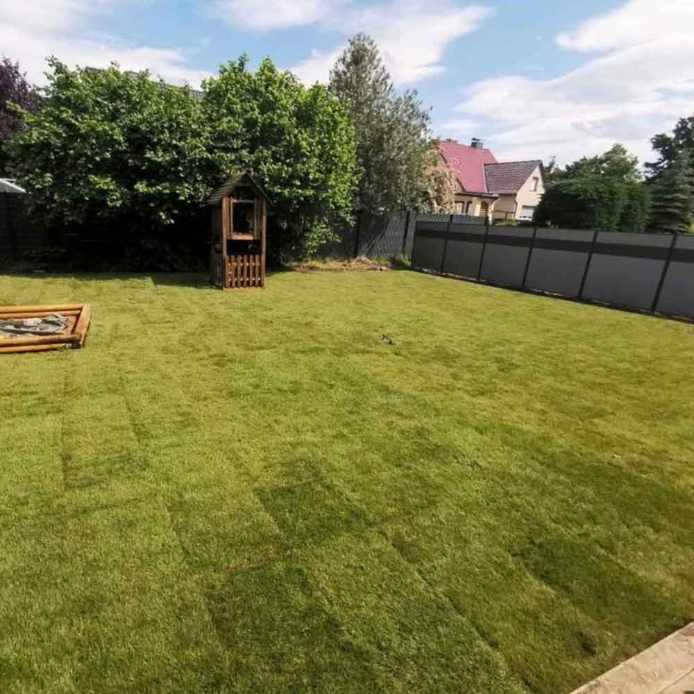 Frisch verlegter Rollrasen mit neuem Sichtschutzzaun, ein Gartenprojekt von Bazid Daoud GaLaBau